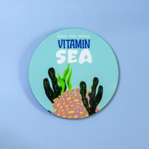 Swimming Sea-son Coaster