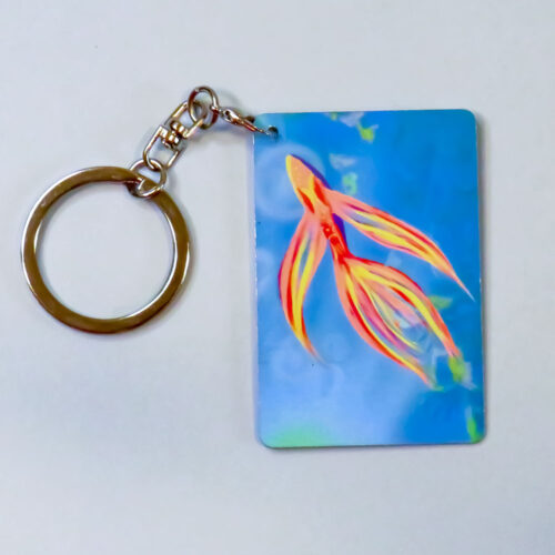 Swim n' Wade Key Charm